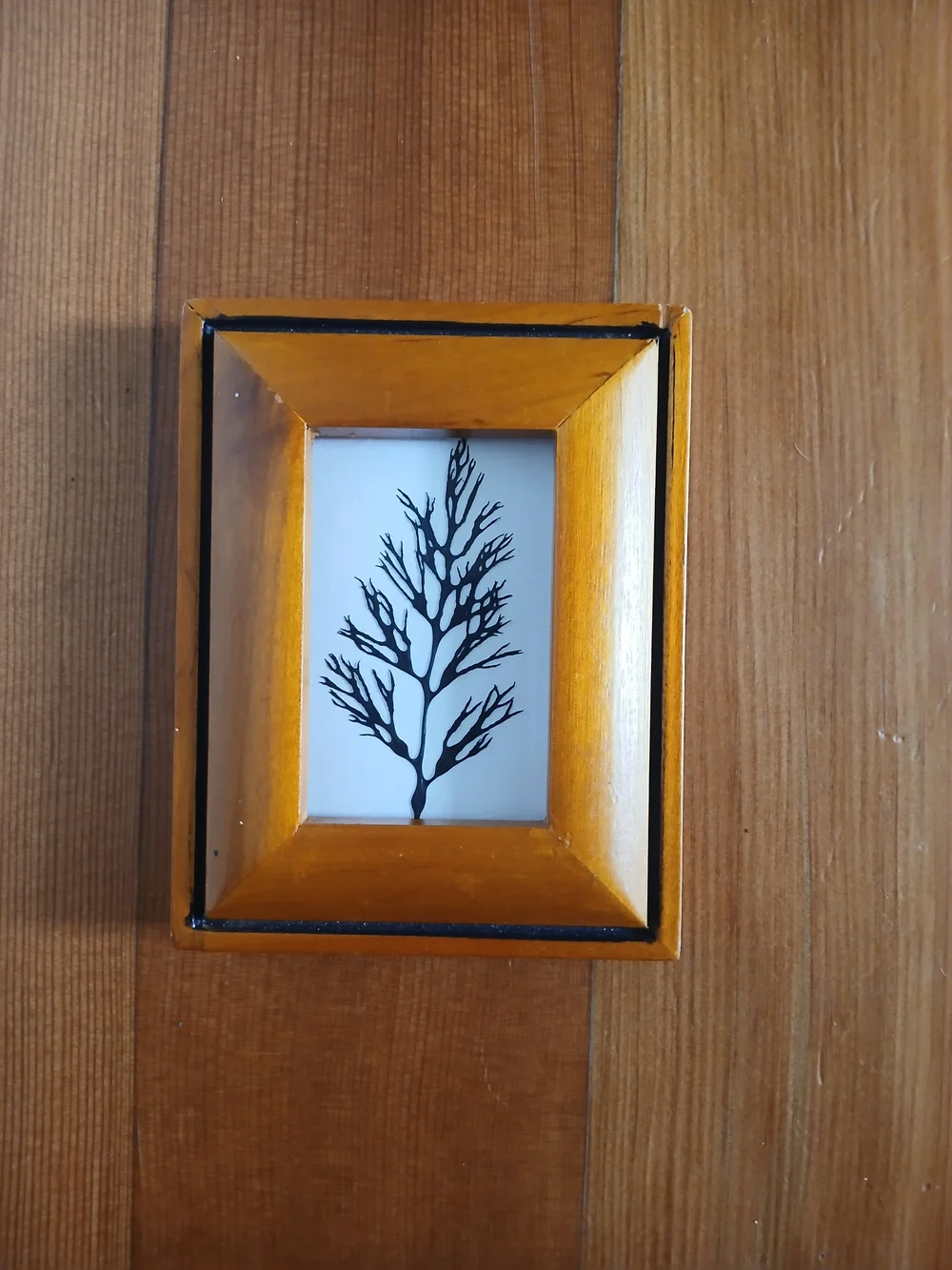 Orange Wooden Frame Wall Art with Black Botanical Print - Brand